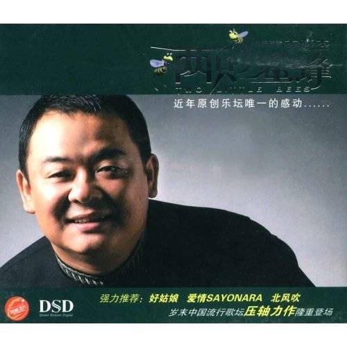 两只小蜜蜂（李晓杰演唱歌曲）