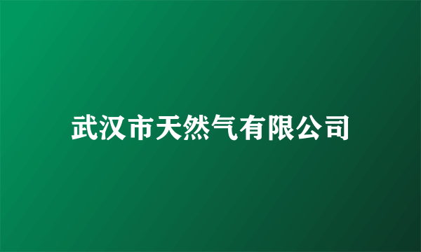 武汉市天然气有限公司