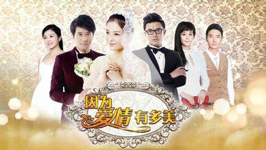 拥抱的理由（电视剧《因为爱情有多美》的片头曲）