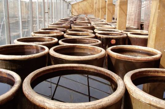 美和居老陈醋酿制技艺