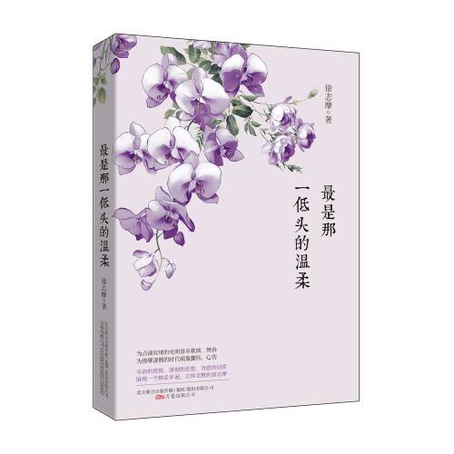 最是那一低头的温柔（2014年万卷出版公司出版的图书）