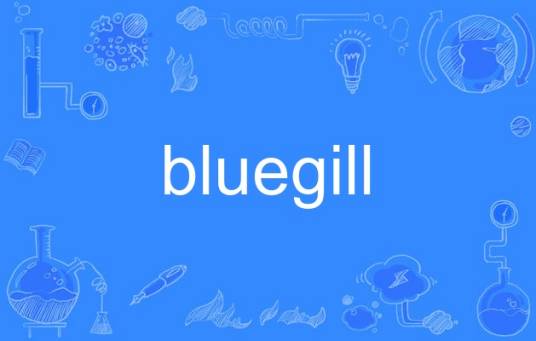bluegill