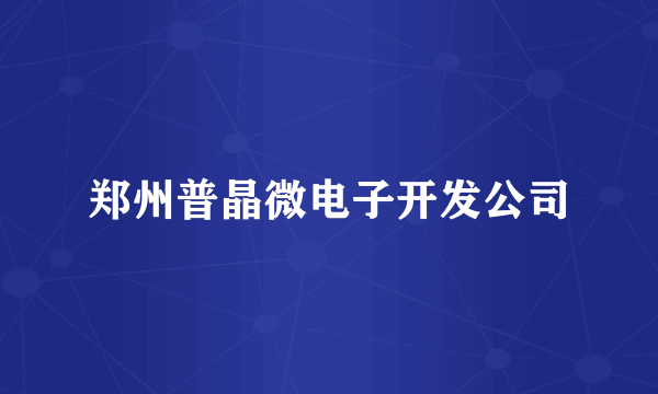 郑州普晶微电子开发公司