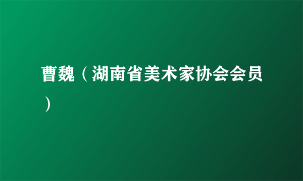 曹魏（湖南省美术家协会会员）