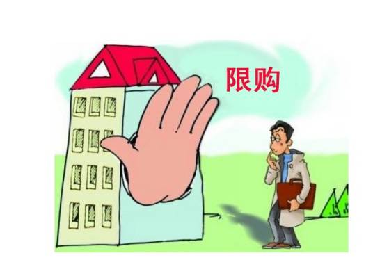 上海限购令细则