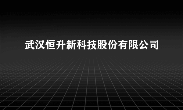 武汉恒升新科技股份有限公司