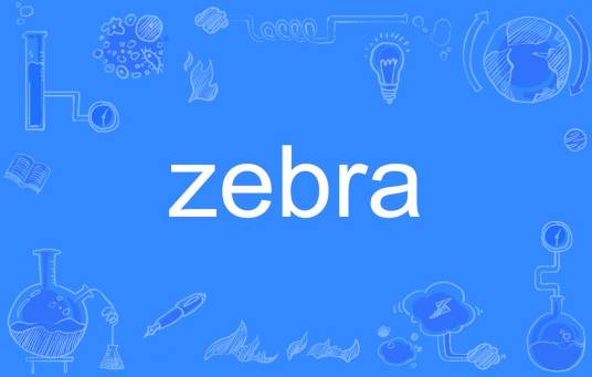 zebra（英文单词）