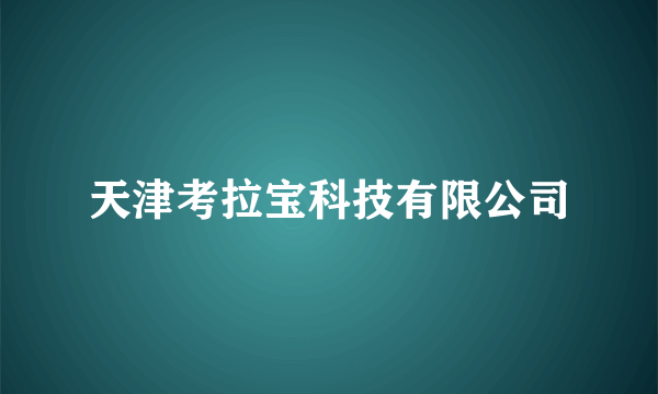 天津考拉宝科技有限公司