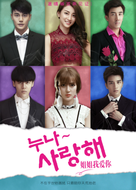 姐姐我爱你（2016年王俊潾执导的爱情电影）