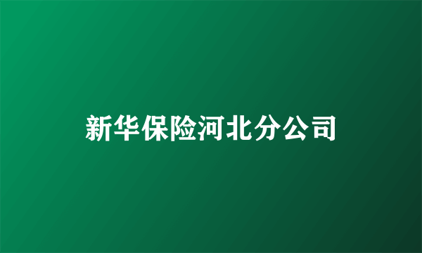 新华保险河北分公司