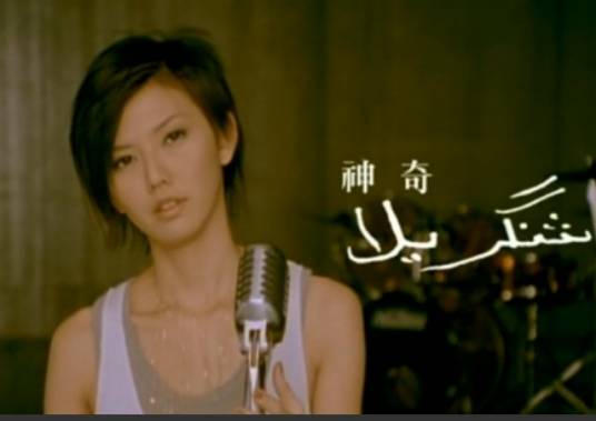 心愿（2005年孙燕姿演唱歌曲）