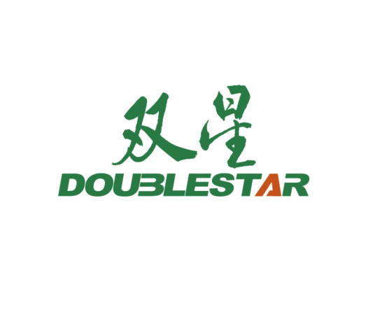 双星集团有限责任公司