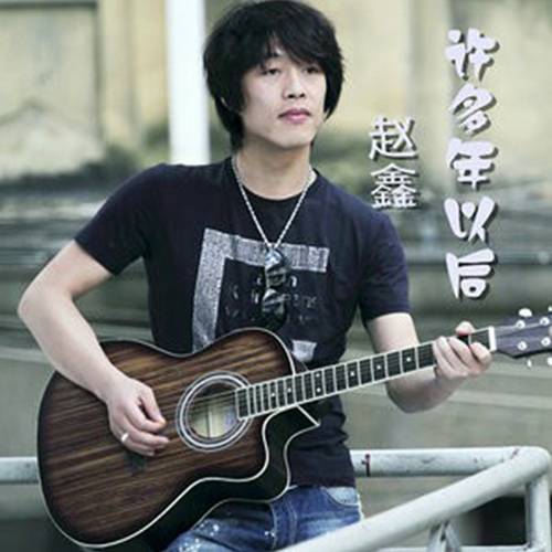 许多年以后（赵鑫演唱歌曲）
