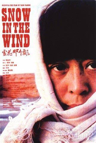 雪花那个飘（2006年杨亚洲执导电影）