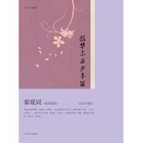 韶华不为少年留·秦观词