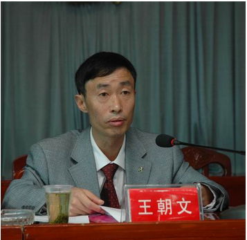 王朝文（贵州省印江县人大常委会原主任）