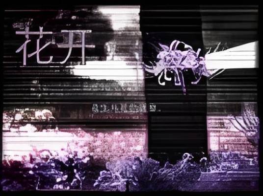 彼岸花开（黎扬创作的小说作品）