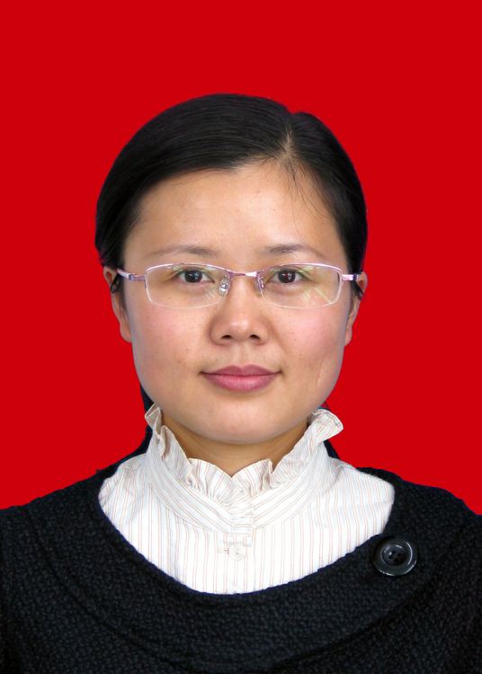 董晓莉（四川省兴文县人民政府党组成员、副县长）