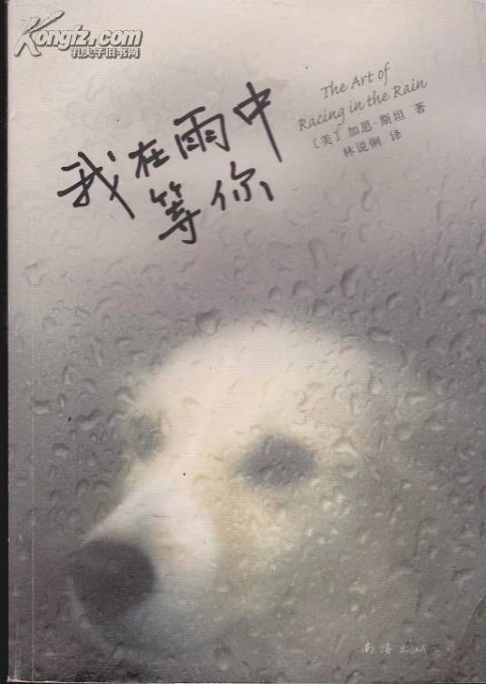 我在雨中等你(2008年南海出版社出版的图书)