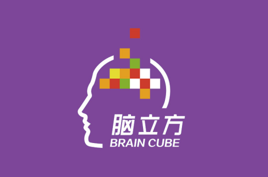 上海脑立方文化传播有限公司