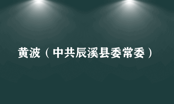 黄波（中共辰溪县委常委）