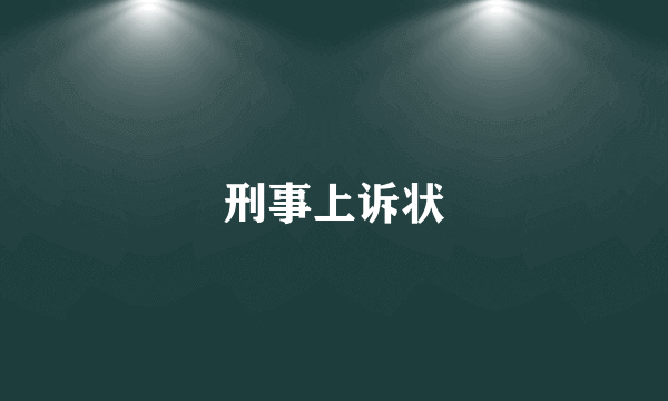 刑事上诉状