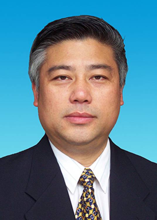 盛茂林（第十四届全国政协提案委员会副主任）