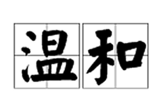 温和（汉语词语）