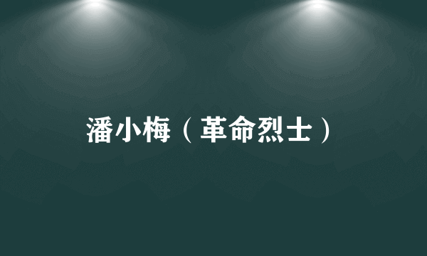 潘小梅（革命烈士）