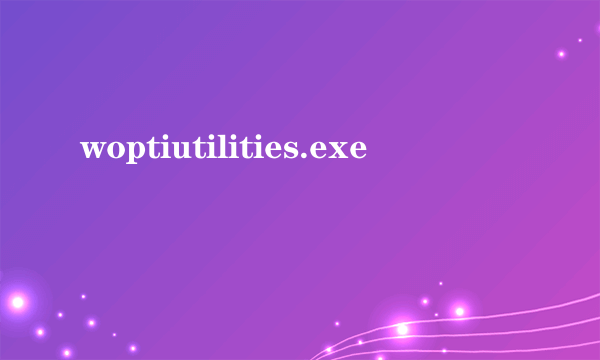 woptiutilities.exe