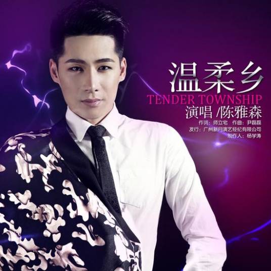 温柔乡（陈雅森演唱的歌曲）