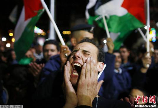 联合国观察员（联合国维持和平行动的两种形式之一）