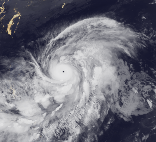 台风鹦鹉（2014年第20号超强台风）