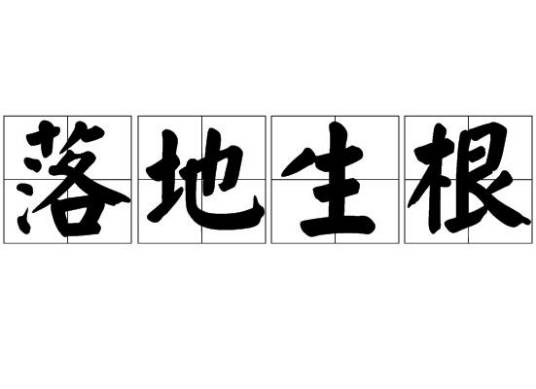 落地生根（汉语成语）