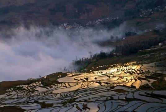 哈尼稻作梯田系统