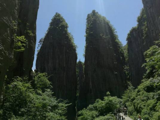 迪恩·波特双子峰