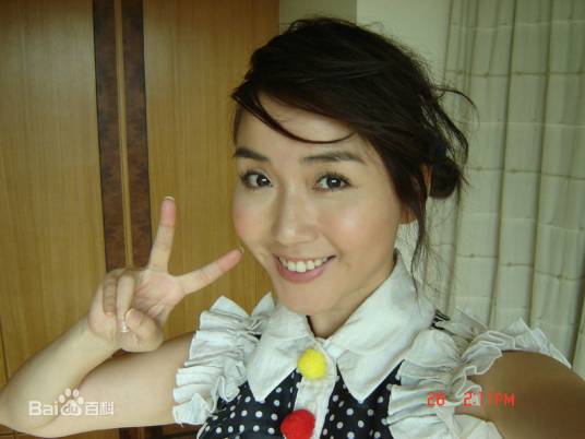 幸福之家（张莹演唱歌曲）