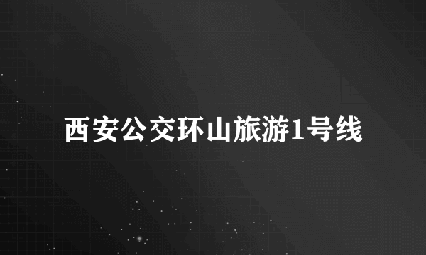 西安公交环山旅游1号线
