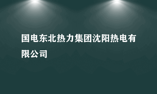 国电东北热力集团沈阳热电有限公司