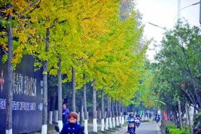 龙蟠路（南京市龙蟠路）