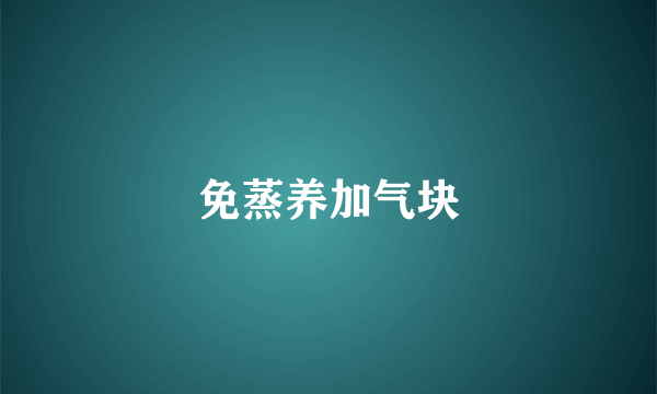 免蒸养加气块
