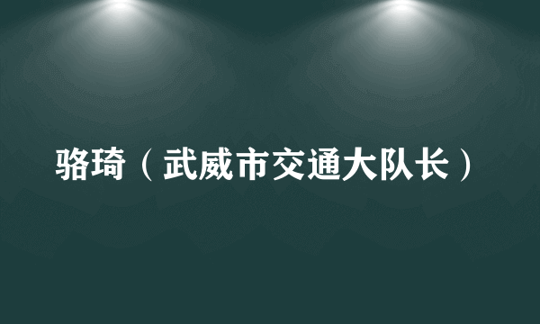 骆琦（武威市交通大队长）