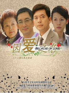 因爱之名（2008年高翊浚执导电视剧）