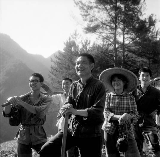 知青（2008年袁苑导演中国大陆电视连续剧）