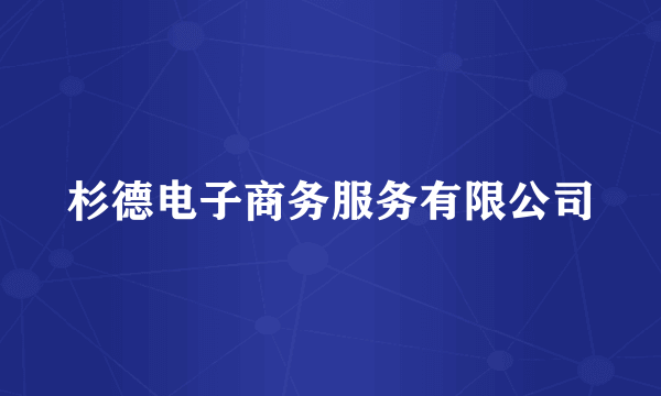 杉德电子商务服务有限公司