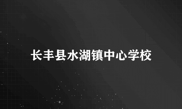 长丰县水湖镇中心学校