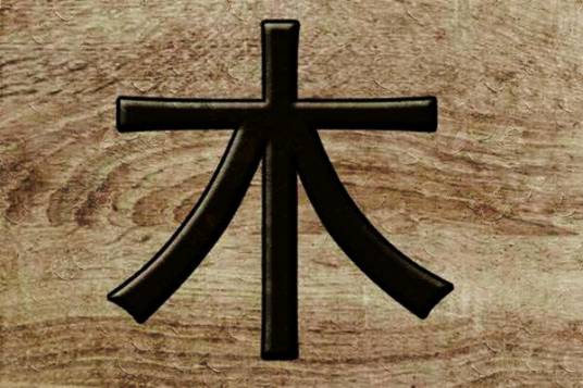 木（五行之一）