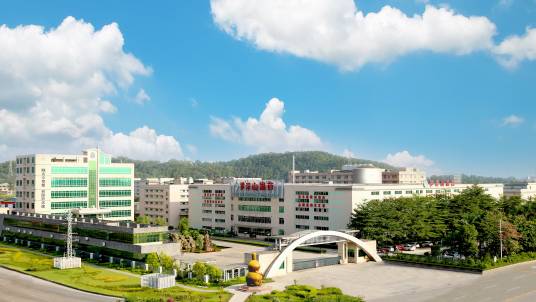 广东罗浮山国药股份有限公司