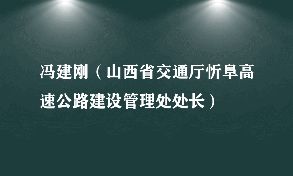 冯建刚（山西省交通厅忻阜高速公路建设管理处处长）