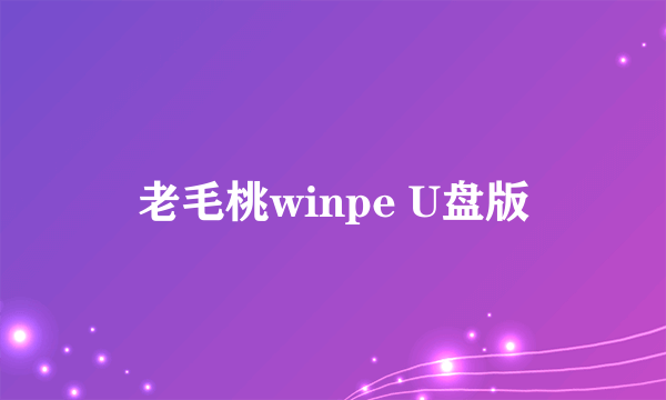 老毛桃winpe U盘版